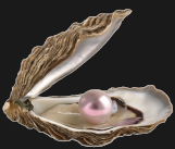 Click to Open the Shell